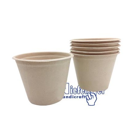 ▷ BOLES Y PLATOS MULTIUSOS CELULOSA | Taine - Imagen 6