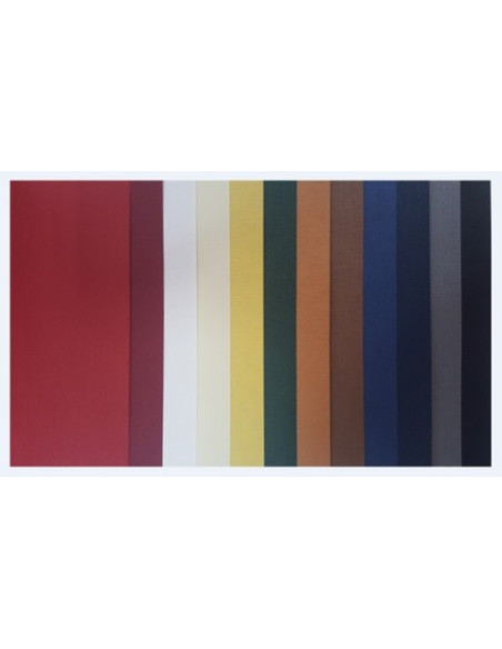 ▷ PAPEL CARPELINE 115 GRAMOS | Taine - Imagen 2