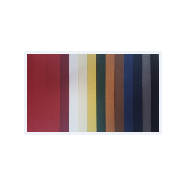 ▷ PAPEL CARPELINE 115 GRAMOS | Taine - Imagen 7