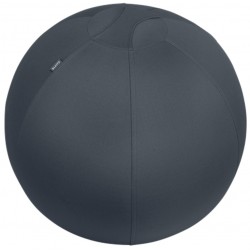 Imagen 1 - ▷ BALÓN LEITZ DE ASIENTO ACTIVE DE 65CM ANTIDESLIZANTE, GRIS OSCURO | Taine ▷ BALÓN LEITZ DE ASIENTO ACTIVE DE 65CM ANTIDESLIZANTE, GRIS OSCURO | Taine - Imagen 1