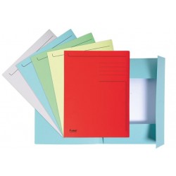 ▷ SUBCARPETAS EXACOMPTA 3 SOLAPAS FOREVER® IMPRESAS | Taine - Imagen 2