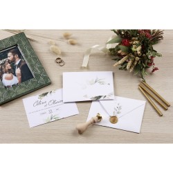 ▷ COBRE POLLEN VERDE 20 SOB+ LACRE | Taine - Imagen 2