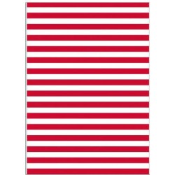 ▷ BOLSAS FIXO KIDS DISFRACES PAYASO RAYAS 65X90CM PACK 5UDS | Taine - Imagen 1