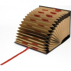 ▷ CARPETA GRAFOPLAS DE ACORDEÓN FUELLE | Taine - Imagen 2