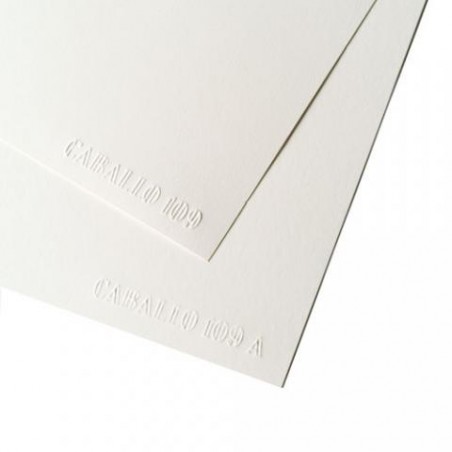 ▷ *UND.PAPEL CABALLO A4 SATINADO (P.100) | Taine - Imagen 1