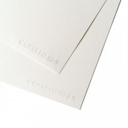 Imagen 1 - ▷ UND.PAPEL CABALLO SATINADO A2 250GR | Taine ▷ UND.PAPEL CABALLO SATINADO A2 250GR | Taine - Imagen 1