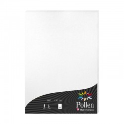 Imagen 1 - ▷ PQ 50 HOJAS POLLEN 210X297 CREMA 160GRS | Taine ▷ PQ 50 HOJAS POLLEN 210X297 CREMA 160GRS | Taine - Imagen 1