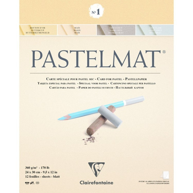 ▷ BLOC CALIREFONTAINE 12HJ PASTELMAT 360G 24X30 | Taine - Imagen 1