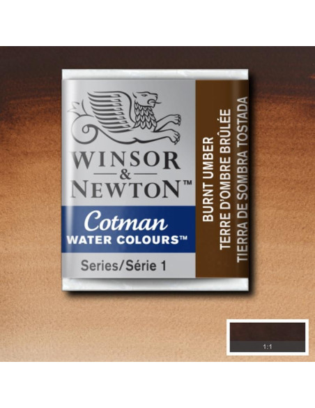 ▷ PASTILLA ACUARELA 076 WyN TIERRA SOMBRA | Taine - Imagen 1