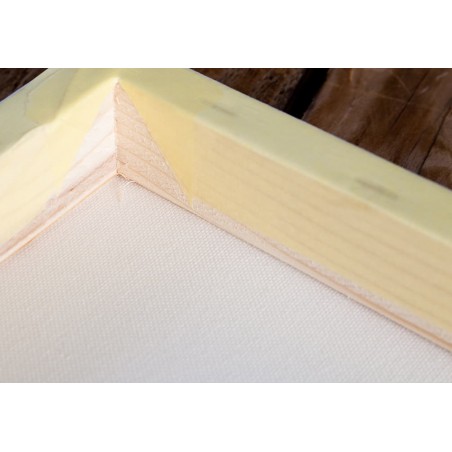 ▷ *BASTIDOR COTTON CANVAS 100X100 45X19 PROFESIONA | Taine - Imagen 1