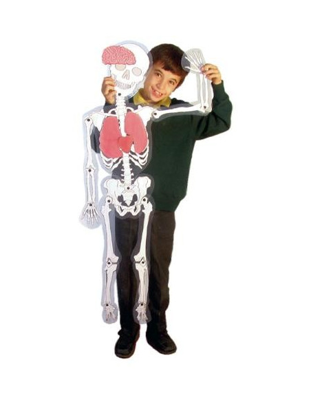 ▷ EL HOMBRE HENBEA ESQUELETO ARTICULADO PARA PARED 120 CM | Taine - Imagen 1