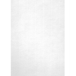 Imagen 1 - ▷ PQ 20HJ A4 VERJURADO BLANCO 220G 12130 | Taine ▷ PQ 20HJ A4 VERJURADO BLANCO 220G 12130 | Taine - Imagen 1