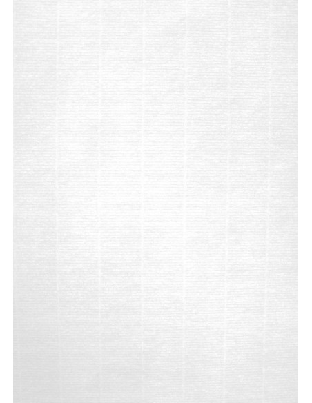 ▷ PAPEL APLI VERJURADO BLANCO 100 G 100 HOJAS | Taine - Imagen 1