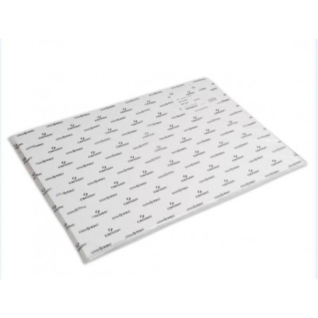 ▷ LAMINAS DIBUJO 25HJ ACUARELA 50X70CM 350GR GUARRO | Taine - Imagen 1