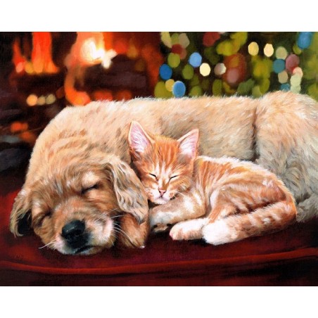 ▷ PINTAR POR NÚMEROS FA10040Y 40X50CM FIGURA "GATO Y PERRO DURMIENDO" | Taine - Imagen 1
