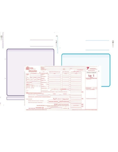 ▷ FORMULARIOS FABRISA PAPEL CONTINUO | Taine - Imagen 1