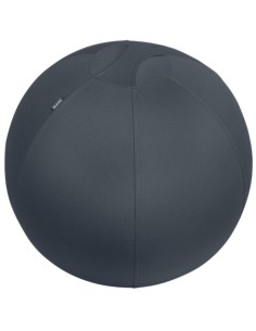 Imagen 1 - ▷ BALÓN LEITZ DE ASIENTO ACTIVE 65CM ANTIDESLIZANTE GRIS | Taine ▷ BALÓN LEITZ DE ASIENTO ACTIVE 65CM ANTIDESLIZANTE GRIS | Taine - Imagen 1