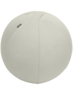 Imagen 1 - ▷ BALÓN LEITZ DE ASIENTO ACTIVE 75CM ANTIDESLIZANTEGRIS | Taine ▷ BALÓN LEITZ DE ASIENTO ACTIVE 75CM ANTIDESLIZANTEGRIS | Taine - Imagen 1