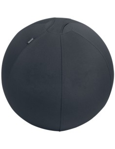 Imagen 1 - ▷ BALÓN LEITZ DE ASIENTO ACTIVE 75CM ANTIDESLIZANTE GRIS OSCURO | Taine ▷ BALÓN LEITZ DE ASIENTO ACTIVE 75CM ANTIDESLIZANTE GRIS OSCURO | Taine - Imagen 1