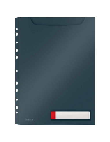 ▷ FUNDAS LEITZ GRIS PRIVACIDAD COSY GRAN CAPACIDAD A4 | Taine - Imagen 1