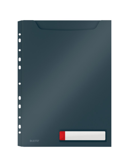 ▷ FUNDAS LEITZ GRIS PRIVACIDAD COSY GRAN CAPACIDAD A4 | Taine - Imagen 1