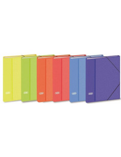 ▷ CLASIFICADOR ELBA 12 DEPARTAMENTOS FOLIO PAPEL BRILLO COLORES SURTIDOS | Taine - Imagen 1