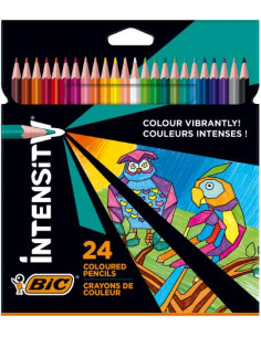 ▷ LAPICES BIC 24 UDS COLOR INTENSITY | Taine - Imagen 1