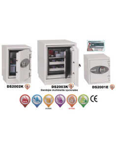 ▷ ARMARIO IGNÍFUGO PHOENIX SERIE 2000 DATACARE | Taine - Imagen 1