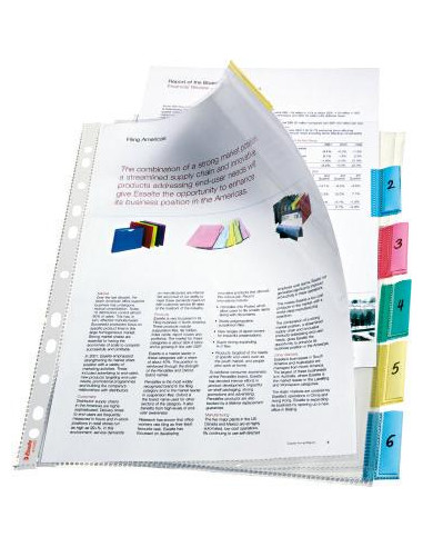 ▷ FUNDA ESSELTE MULTITALADRO C/PESTAÑA SET 6FUNDAS PP CRISTAL 85MIC REFUERZO | Taine - Imagen 1