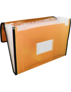 ▷ CARPETA POESSA FUELLE 13 DEPARTAMENTOS | Taine - Imagen 1