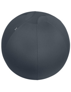 ▷ BALÓN LEITZ DE ASIENTO ACTIVE DE 65CM ANTIDESLIZANTE, GRIS OSCURO | Taine - Imagen 1