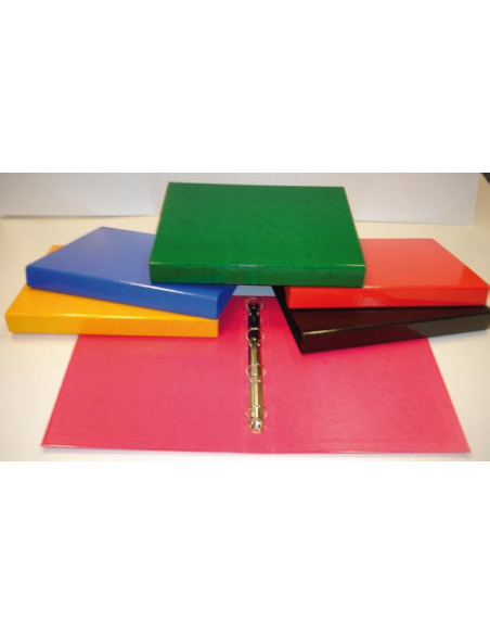 ▷ CARPETA SARO ANILLAS COLORES | Taine - Imagen 1
