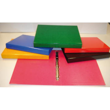 ▷ CARPETA SARO ANILLAS COLORES | Taine - Imagen 2