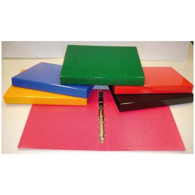 ▷ CARPETA SARO ANILLAS COLORES | Taine - Imagen 9