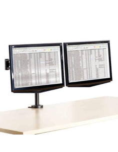 ▷ BRAZO FELLOWES DOBLE PARA MONITOR PROFESSIONAL SERIES | Taine - Imagen 1