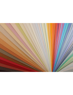 ▷ PAPEL MI-TEINTES CANSON UNIDAD PARA PASTEL | Taine - Imagen 1