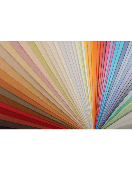 ▷ PAPEL MI-TEINTES CANSON UNIDAD PARA PASTEL | Taine - Imagen 5
