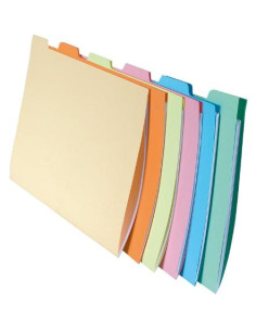 ▷ SUBCARPETAS EXACOMPTA A4 APAISADA PESTAÑA LATERAL COLORES SURTIDOS P.CAJONES | Taine - Imagen 1