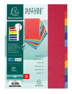 ▷ SEPARADORES EXACLAIRE EN CARTULINA LUSTRADA | Taine - Imagen 2