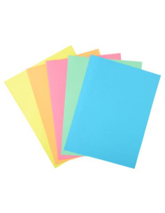 ▷ SUBCARPETAS EXACOMPTA 100 UDS 1SOLAPA 160 GR | Taine - Imagen 1