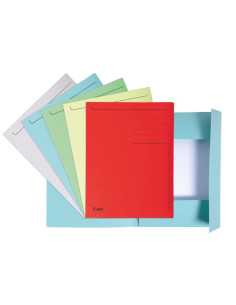 ▷ SUBCARPETAS EXACOMPTA 100 UDS 3 SOLAPAS IMPRESAS | Taine - Imagen 2