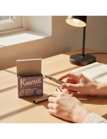 ▷ *RECAMBIO KAWECO PLUMA BERENJERA 6U | Taine - Imagen 2