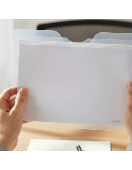 ▷ DOSSIER ESSELTE UÑERO PP FOLIO TRANSPARENTE CJ.100U | Taine - Imagen 2