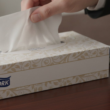 ▷ PAÑUELO PAPEL KLEENEX TORK PREMIUM CAJA 100U. | Taine - Imagen 2
