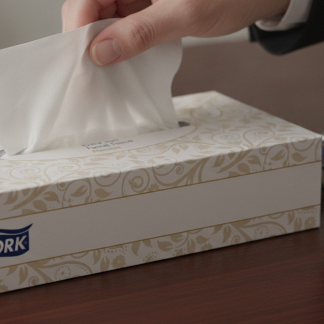 ▷ PAÑUELO PAPEL KLEENEX TORK PREMIUM CAJA 100U. | Taine - Imagen 2