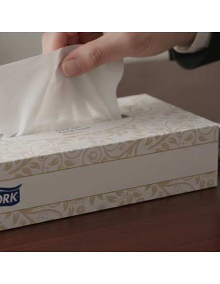 ▷ PAÑUELO PAPEL KLEENEX TORK PREMIUM CAJA 100U. | Taine - Imagen 2