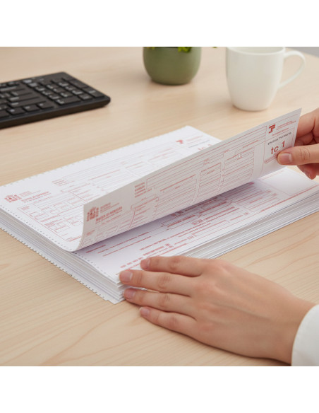 ▷ FORMULARIOS FABRISA PAPEL CONTINUO | Taine - Imagen 2