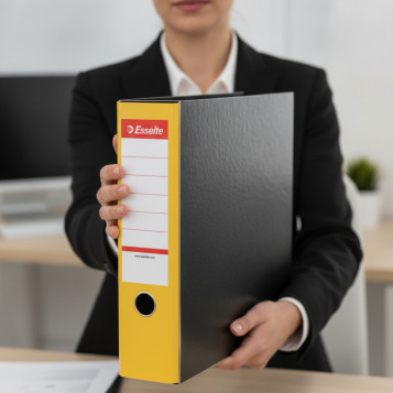 ▷ CAJA ARCHIVADOR ESSELTE NEGRO BRILLANTE | Taine - Imagen 2