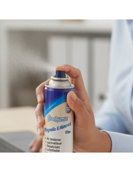 ▷ AMBIENTADOR AEROSOL 500ML | Taine - Imagen 5