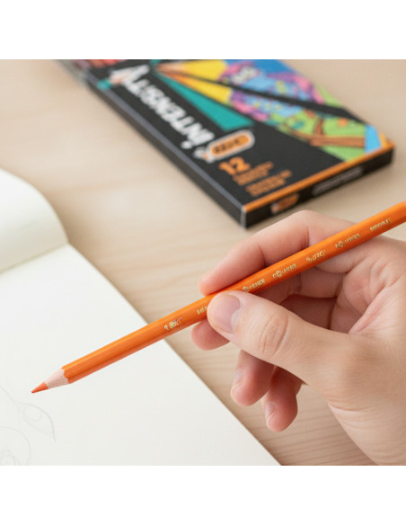 ▷ LAPICES BIC 12 UDS COLOR INTENSITY | Taine - Imagen 2